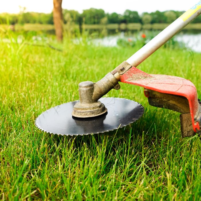 не окосента трева е обежище за кърлежите