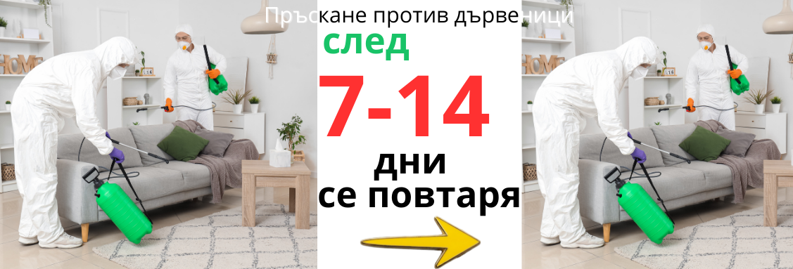 Кога се пръска отново за дървеници