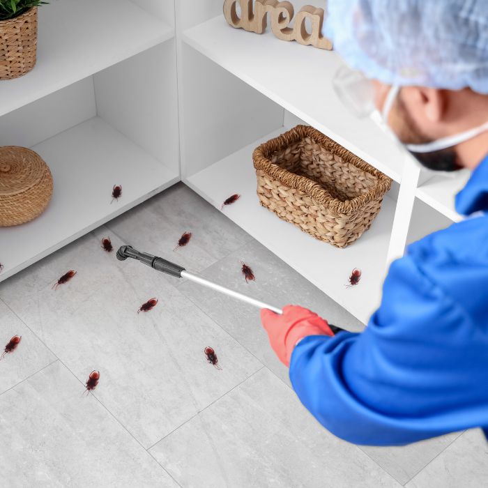 осигуряване на достъп до критични зони за борба с хлебарки