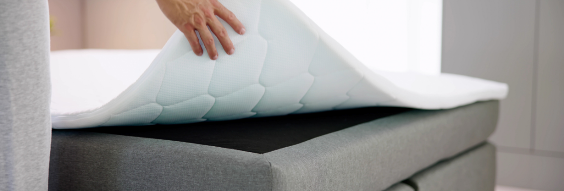 Къде се крият дървениците