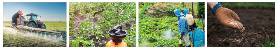 унищожаване колорадски бръмбар